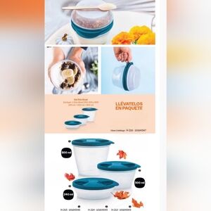 Tupperware Duo Interlocking Bowl Set